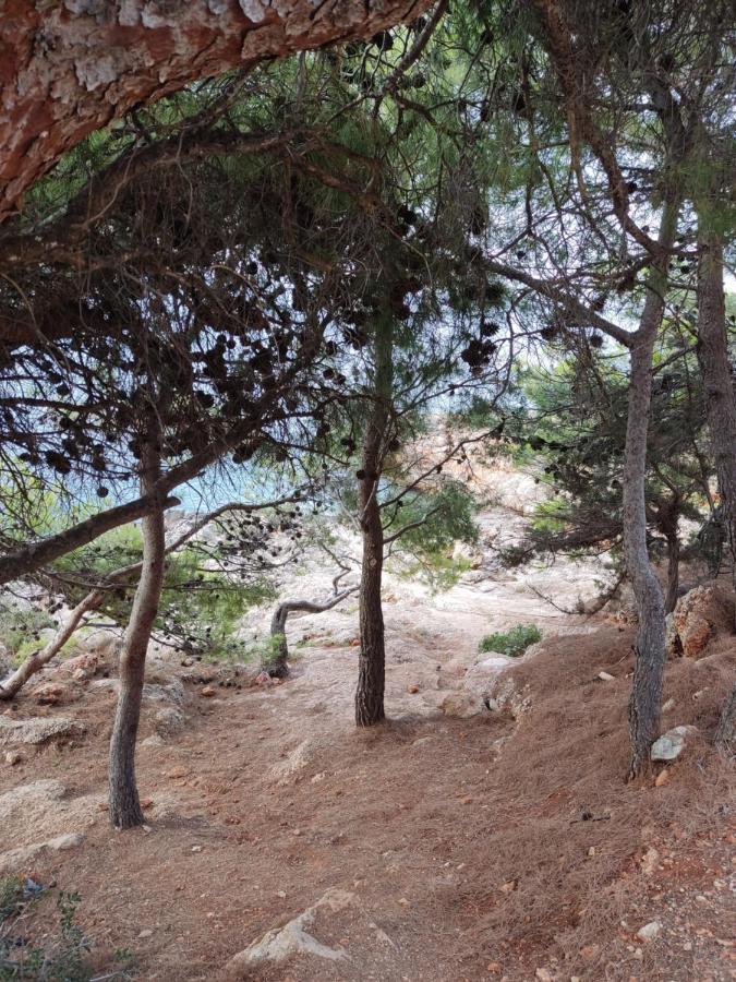 Zagalo Sveta Nedelja (Hvar)
